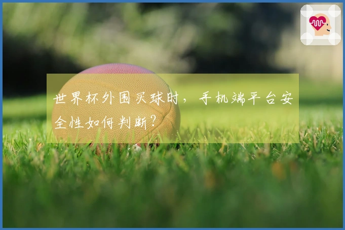 世界杯外围买球时，手机端平台安全性如何判断？