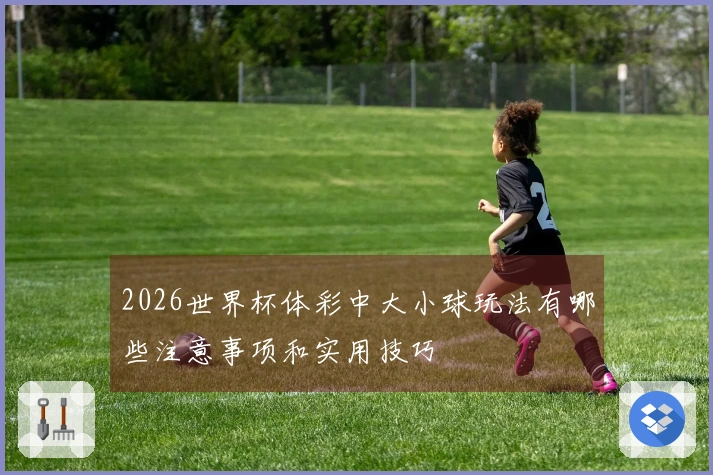 2026世界杯体彩中大小球玩法有哪些注意事项和实用技巧