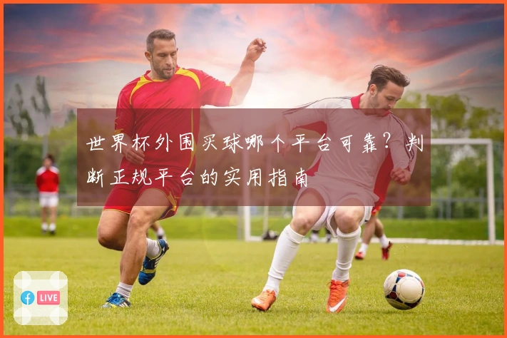 世界杯外围买球哪个平台可靠？判断正规平台的实用指南