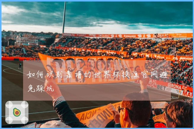 如何识别靠谱的世界杯投注官网避免踩坑