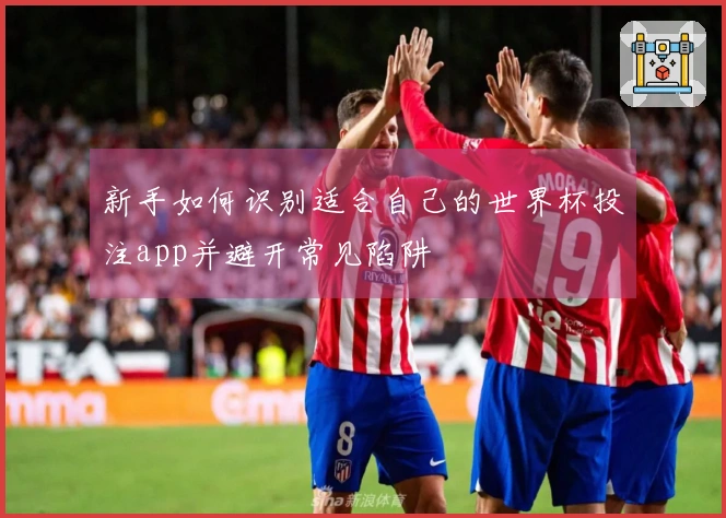 新手如何识别适合自己的世界杯投注app并避开常见陷阱