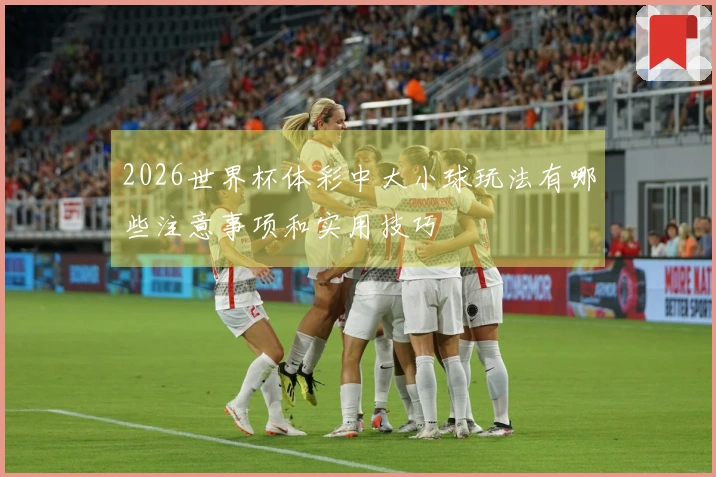 2026世界杯体彩中大小球玩法有哪些注意事项和实用技巧